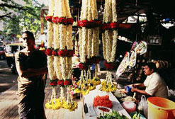 Flower market on Sampige Road